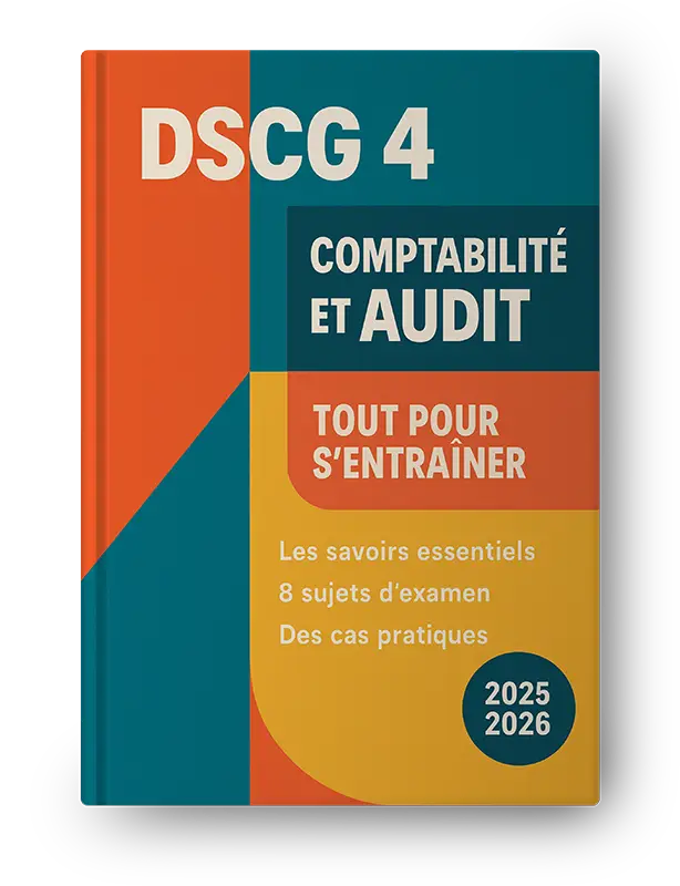 Comptabilité et audit 2025 pdf